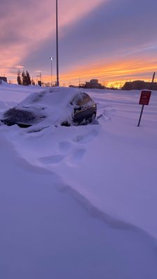 CF Sherway Gardens by null