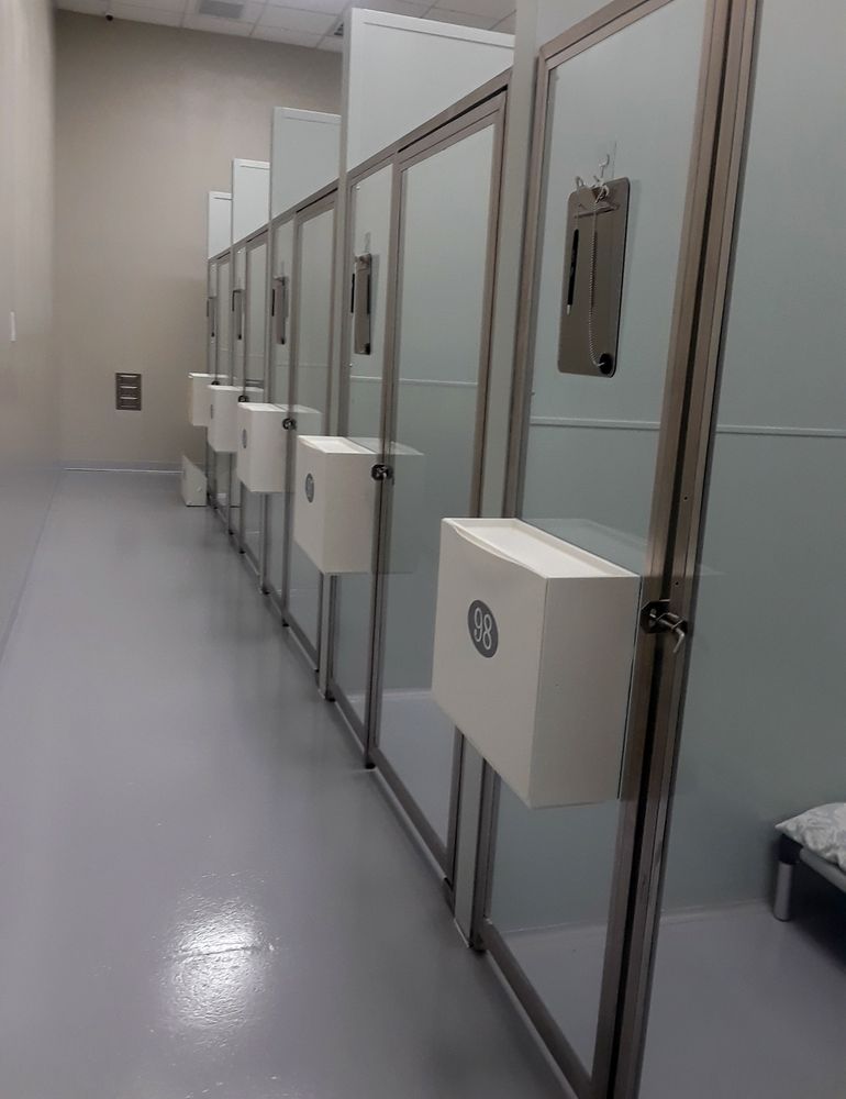 HAVEN THE DOG SPOT SOUTH Updated August 2024 6010A Sandy Springs