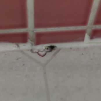 MaidPro - At the bottom of the shower door, looks like mold to me. Thought they cleaned the floor? - Home Cleaning Near Me - Orange, California