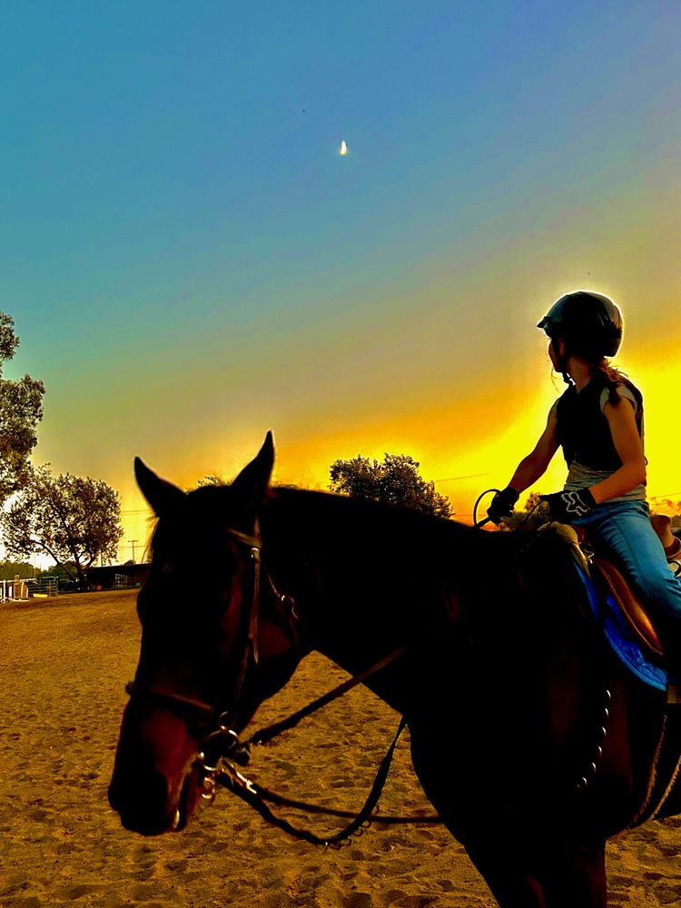 EQUINE EMPOWERMENT FOUNDATION Updated April 2024 2797 E Pleasant