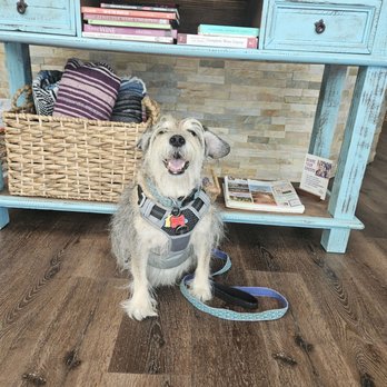 Julie's Dream Winery - Happy Kona-Pup. - Wine Tasting Room Near Me - Temecula, California Julie's Dream Winery - Happy Kona-Pup. - Wine Tasting Room Near Me - Temecula, California
