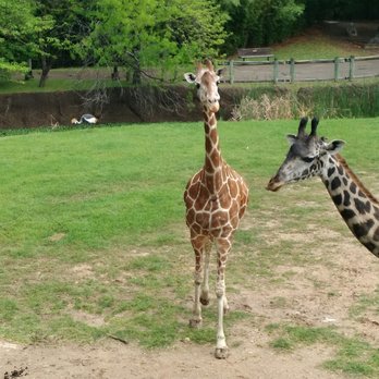 Cameron Park Zoo - Zoos Near Me - Waco, Texas