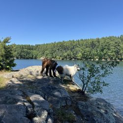 Sheepfold Dog Park