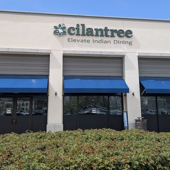 Cilantree - Indian Near Me - Farmington, Utah