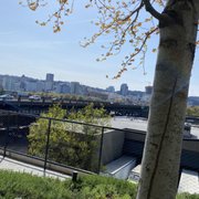 KNOT SPRINGS - 72 Photos & 94 Reviews - Yoga - 33 NE 3rd Ave, Portland ...