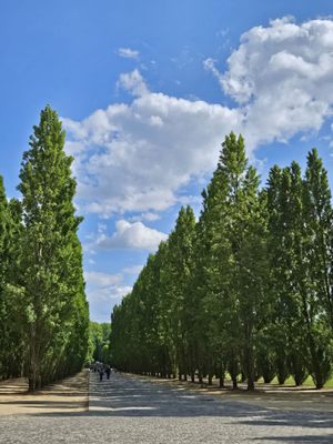 Petit Trianon by null