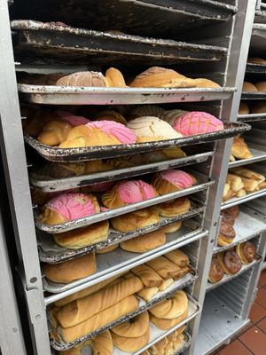 Tlaxcala Bakery Panaderia by null