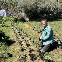 Acta Non Verba BeetBox CSA - Esmee - Farms Coordinator - planting kale at WOW farm in West Oakland