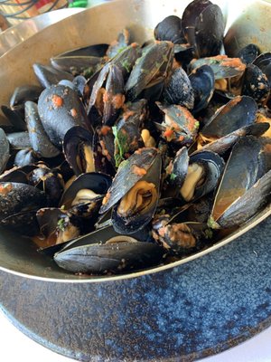 Croce del Sud by null