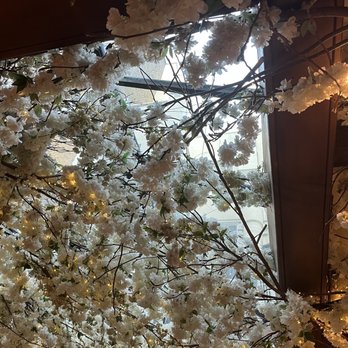 Clos Maggiore - French Near Me - London, XGL