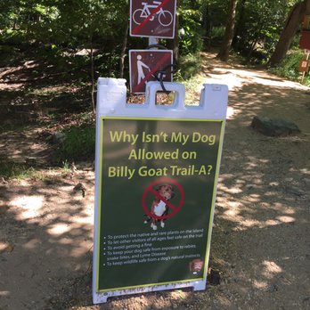 Great Falls Park - No dogs sign - Parks Near Me - McLean, Virginia Great Falls Park - No dogs sign - Parks Near Me - McLean, Virginia