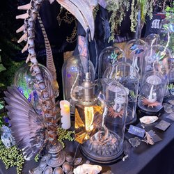 The Oddities Flea Market - Animal bone art