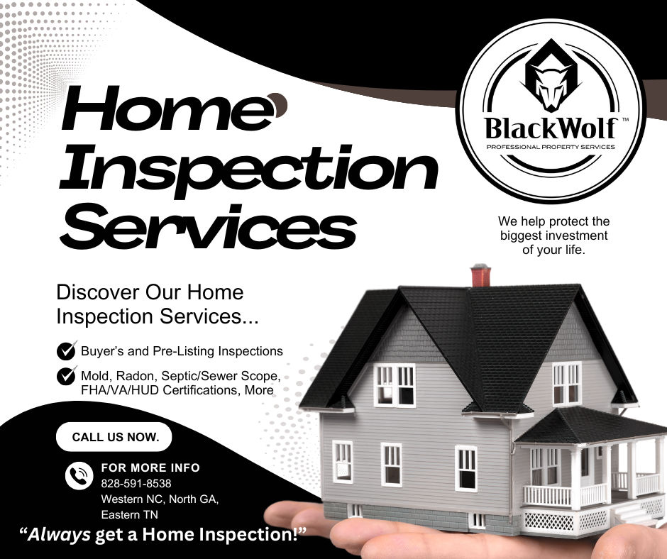 BlackWolf Professional Property Services - mold inspector in Murphy, NC