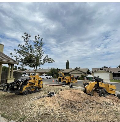 Tree Trimming / Removal - We Crew has the equipment and personnel to handle any of your projects! Tree Trimming / Removal - We Crew has the equipment and personnel to handle any of your projects!