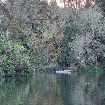 Blue Heron Lake - Lakes Near Me - San Francisco, California Blue Heron Lake - Lakes Near Me - San Francisco, California