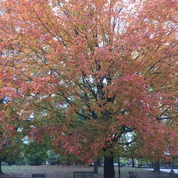 Prospect Park - Parks Near Me - Brooklyn, New York Prospect Park - Parks Near Me - Brooklyn, New York