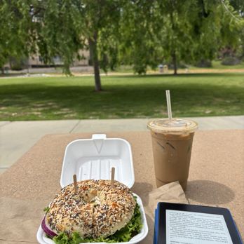 The Daily Bagel - Bagels Near Me - San Diego, California The Daily Bagel - Bagels Near Me - San Diego, California