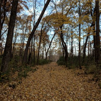 William O'Brien State Park - Parks Near Me - Marine on Saint Croix, Minnesota