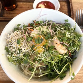 The Soop - Microgreen Bibimbap - Salad Near Me - Portland, Oregon The Soop - Microgreen Bibimbap - Salad Near Me - Portland, Oregon