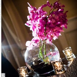 Exotica Florist - Beautiful!