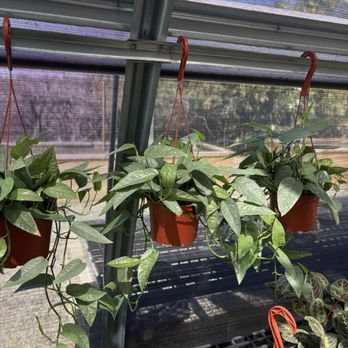 Curby's Nursery - Nurseries & Gardening Near Me - Temecula, California