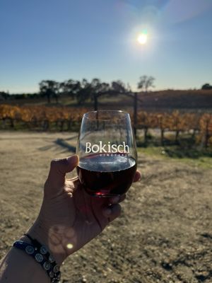 Bokisch Vineyards by null