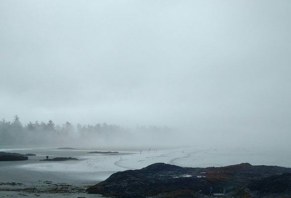Chesterman Beach by null