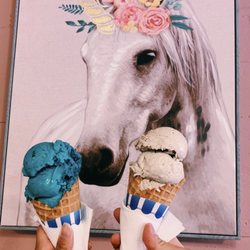The Plush Horse - Cookie Monster