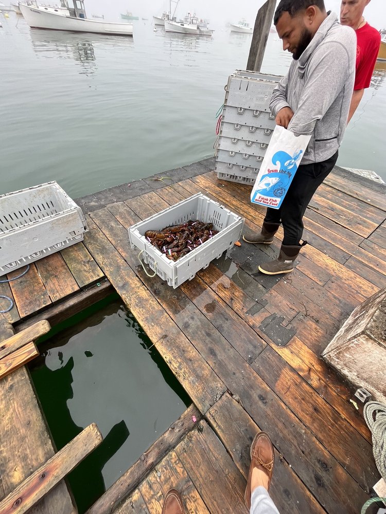 Stonington Lobster Co-Op Logo