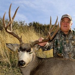 Bearpaw Outfitters - Idaho Mule Deer