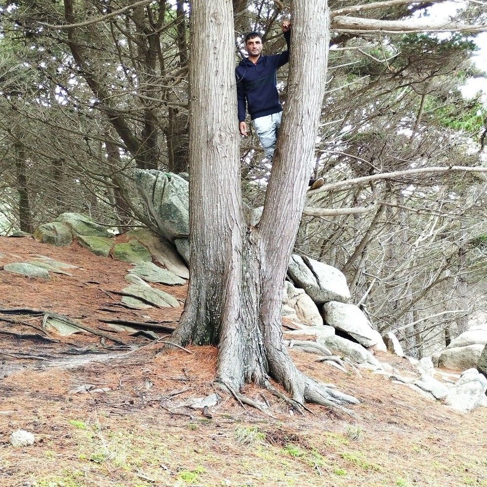 TOP 10 BEST Massage Erotique near Évry-Courcouronnes, Essonne, France -  Updated 2025 - Yelp