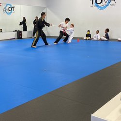 The One Martial Arts