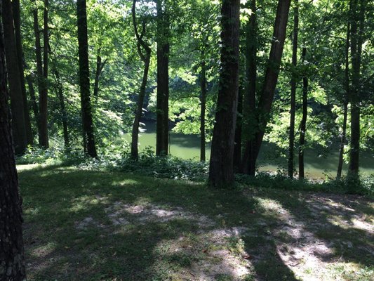 Meeman-Shelby Forest State Park by null