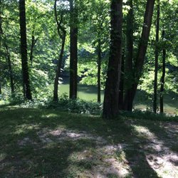 Meeman-Shelby Forest State Park - Shoreline of lake