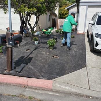 Rafael Landscaping - a man in a green shirt working on a driveway - Tree Services Near Me Rafael Landscaping - a man in a green shirt working on a driveway - Tree Services Near Me