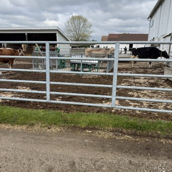 Wolcott Mill Interpretive Learning Center - Attraction Farms Near Me - Ray, Michigan