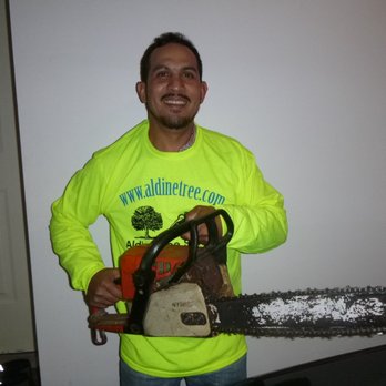 1. Aldine Tree Services Houston Stump Grinding