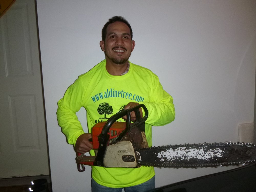 Aldine Tree Services Houston Stump Grinding - tree service in Houston, TX