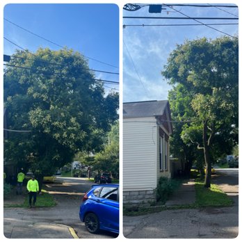 Lopez Tree Service - Tree Services Near Me - Jeffersontown, Kentucky Lopez Tree Service - Tree Services Near Me - Jeffersontown, Kentucky