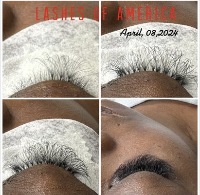 Lashes Of America