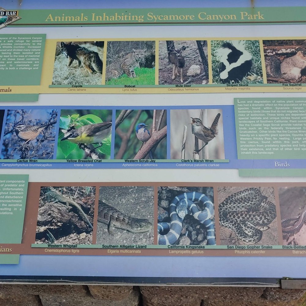 Sycamore Canyon Trail - Parks Near Me - Whittier, California Sycamore Canyon Trail - Parks Near Me - Whittier, California
