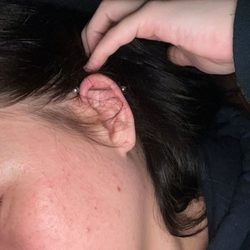Tip Top Tattoo - Industrial Piercing