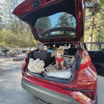 Kyle Canyon Picnic Area Day Use - Just my pup and I. - Campgrounds Near Me - Mount Charles, Nevada Kyle Canyon Picnic Area Day Use - Just my pup and I. - Campgrounds Near Me - Mount Charles, Nevada
