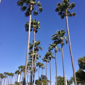 Downtown Long Beach - Festivals Near Me - Long Beach, California
