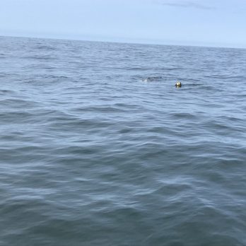 Ocean Sportfishing Charters - Fishing Near Me - Westport, Washington Ocean Sportfishing Charters - Fishing Near Me - Westport, Washington