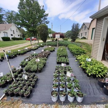 Mike's Plant Farm - Nurseries & Gardening Near Me - Perry, Ohio Mike's Plant Farm - Nurseries & Gardening Near Me - Perry, Ohio