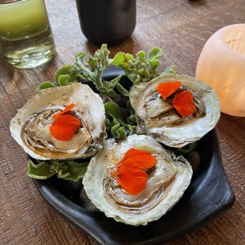 Meteora - Oysters - New American Near Me - Los Angeles, California Meteora - Oysters - New American Near Me - Los Angeles, California