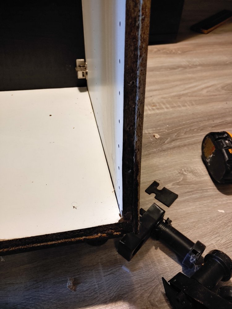 THE MOLD STANDARD REMEDIATION AND REPAIR Updated August 2024 Saskatoon, Saskatchewan