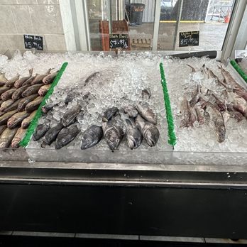 Wild Seafood - Some more fish - Seafood Markets Near Me - Jessup, Maryland Wild Seafood - Some more fish - Seafood Markets Near Me - Jessup, Maryland