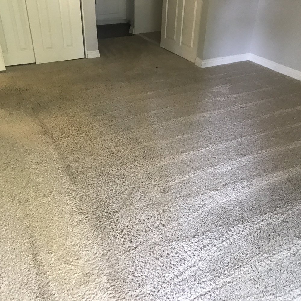 Stonecreek Apartment Homes - My carpet the day i movedout - Apartments Near Me - Valencia, California Stonecreek Apartment Homes - My carpet the day i movedout - Apartments Near Me - Valencia, California